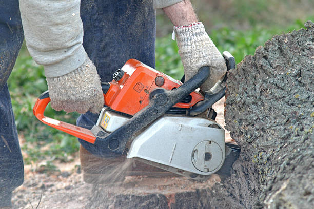 Lawn Pest Prevention in Eaton, IN